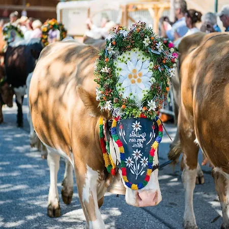 In Near Lift Apartament